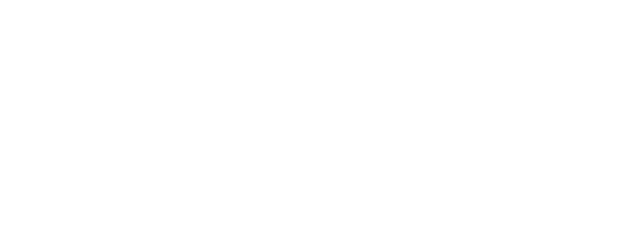 CAQA Audit